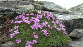 Vier Tage im Nationalpark Hohe Tauern [upl. by Gilder]