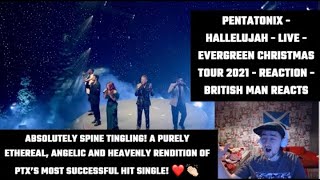 Pentatonix  Hallelujah  Live  Evergreen Christmas Tour 2021  REACTION  British Man Reacts [upl. by Kliman]