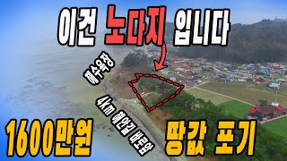 바닷가 해수욕장 옆 초 대박 횡재 전원주택 급매매가보다 싸다 빈집 건물이 포함된 곳입니다 [upl. by Arlie]