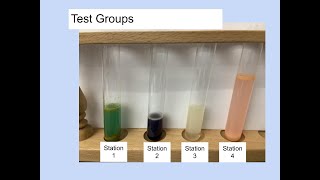 Macromolecule Murder Mystery Lab at Home [upl. by Arutek401]