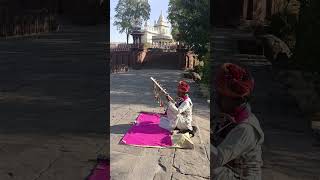 musician in Jodhpur India [upl. by Katerina]