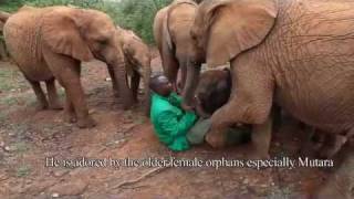 The Rescue of Kithaka  Sheldrick Trust [upl. by Onurb]