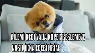 KÖPEK ALMAK İSTİYORUM AİLEM İZİN VERMİYOR [upl. by Noremac]