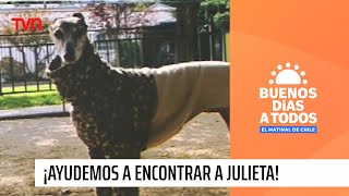 ¡Ayudemos a encontrar a Julieta  Buenos días a todos [upl. by Eremehc]