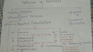 Ethology Animal behaviour pattern of behavior spatial orientationkinesis and their types [upl. by Constancia]