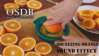 Squeezing orange juice Sound Effect No Copyright [upl. by Page]