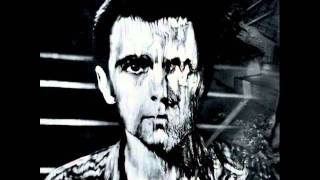 Peter Gabriel  No Self Control [upl. by Sama]