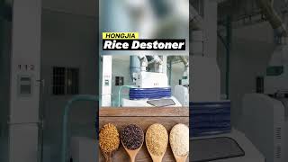 Rice Stone Removing Machine in Rice Mill Plant destoner ricemillmachine ricemill [upl. by Novello546]