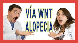 🟠 IMPORTANTE si tienes ALOPECIA Recuperar PELO con la Vía WNTBETACATENINA [upl. by Sierra]