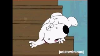 Family Guy Stewie Beats Up Brian [upl. by Arnelle532]