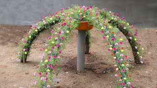 Brilliant idea Grow Portulaca Moss Rose flowers into a waterfall for small garden [upl. by Yuma770]