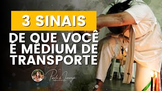 3 Sinais de que você é Médium de transporte PR 319 [upl. by Nich]