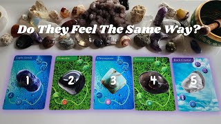 Do They Feel The Same Way 💫🔮😅 For Platonic AND Romantic Connections 💞 Pick A Card 🃏 Tarot Reading [upl. by Mattias]