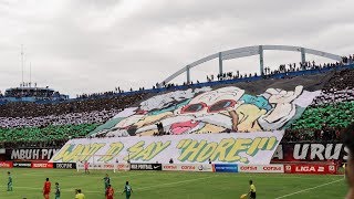 PSS Sleman  Kalteng Putra great chants choreo amp atmosphere 4K [upl. by Aisayn]