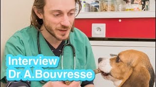 APPROCHE MODERNE DU COMPORTEMENT CANIN  interview du Dr Antoine BOUVRESSE [upl. by Noiek]