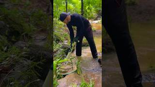 Finding Gold Using A DIY Hand Dredge [upl. by Lajib]