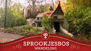 Efteling Walkthrough  Sprookjesbos [upl. by Brunella]