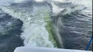 Yamaha FSH 210 Wakesurf wake [upl. by Dulci]