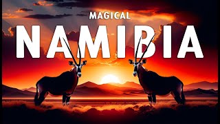 MAGICAL NAMIBIA  The Amazing Wildlife of Namibia Full Documentary [upl. by Cicero]