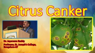 Citrus canker Xanthomonas oxonopodis by Dr Jayarama Reddy [upl. by Eenert]