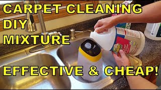 The WORLDS BEST DIY Carpet Cleaning Solution Mixture EFFECTIVE amp CHEAP [upl. by Hennie]