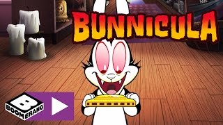 Bunnicula  Der Kuriositätenladen  Cartoonito [upl. by Casimir]