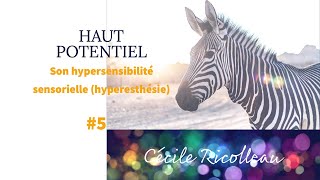 Lindividu à HAUT POTENTIEL 5  Son hypersensibilité sensorielle hyperesthésie [upl. by Magbie]