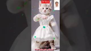 Howtocatdanceshortshow to cat dancehow to makethe town redhow to dance doja cat song [upl. by Enaira312]