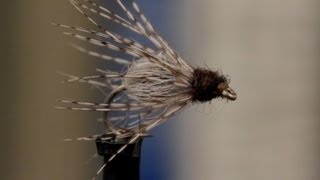 Caddis Emerger [upl. by Hanzelin671]