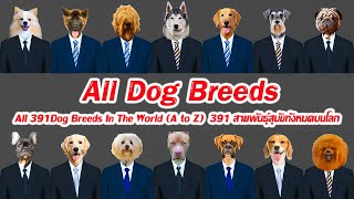 All 391Dog Breeds In The World A to Z  391 สายพันธุ์สุนัขทั้งหมดบนโลก A to Z [upl. by Zinn488]