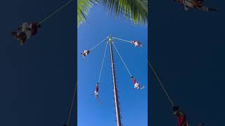 The Papantla Flyers in Costa Maya Mexico [upl. by Seleta203]