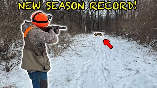 LATE Season Rabbit Hunting w Beagles NEW SEASON RECORD [upl. by Phemia]