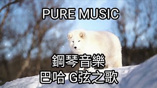 【PURE MUSIC】 Bach：Air on G String【巴哈】G弦之歌 鋼琴與長笛  療癒音樂  風景  純音樂 healingmusic [upl. by Eiwoh]