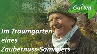 Im Traumgarten eines ZaubernussSammlers  MDR Garten [upl. by Anaeed133]