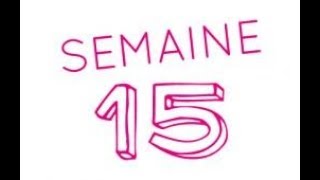 15éme semaine de grossesse  17ème semaine d’aménorrhée [upl. by Drannek]