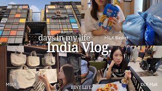 SUBIndia Vlog🇮🇳Essential app for living in IndiaMilk BasketDLF Mall shopping listKorean in India [upl. by Bourn511]