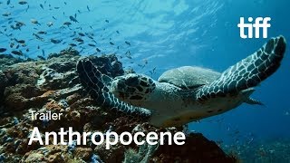 ANTHROPOCENE Trailer  TIFF 2018 [upl. by Alrahc]