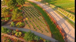 Lavender Garden at Chatfield Farms [upl. by Nastassia]