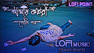 আমায় কইরা গেলি পর  Amay Koira Geli Por  Slowed Music  Slowed Reverb Lofi Music  Lofi Point [upl. by Aiker982]