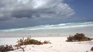 Tulum Mexico area beach surf [upl. by Aiekram802]