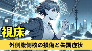 【☑︎小脳視床】外側腹側核の解剖と機能運動制御と認知制御について解説！【第36回】 [upl. by Pogue]