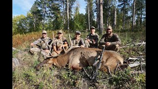 Chasing Bugles and Killing Elk in Forever West archery elk [upl. by Benetta]