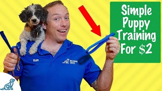 This 2 Tool Will Change EVERYTHING In Your Puppy Training [upl. by Aerdnak]