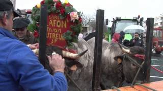 FR 3 à Bazas Boeufs gras 2014 [upl. by Ekyt509]