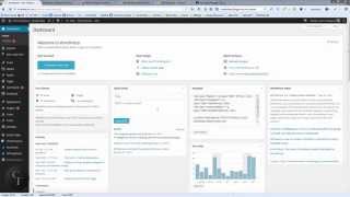 Wordpress All in One SEO plugin tutorial [upl. by Repsag]