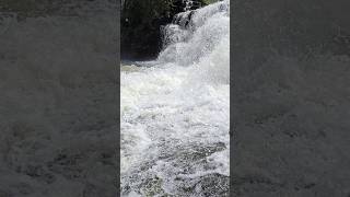 Osm water 🌊 fall in my area nature viralvideo trending like comment and subscribe 🥰 all [upl. by Esinal]