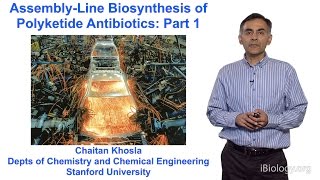 Chaitan Khosla Stanford Part 1 An Introduction to Polyketide Assembly Lines [upl. by Anzovin293]