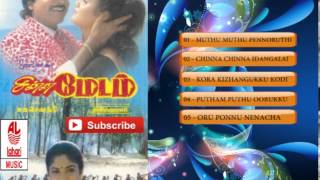 Tamil Old Songs  Chinna Madam Full Songs  Tamil Hit Songs  RamkiVineethaNadhiya [upl. by Neelyak]