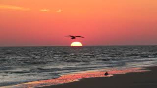 2024 09 21 Sonnenaufgang Wangerooge Oststrand [upl. by Aizirtap472]