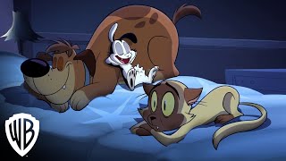 Bunnicula  Season 1 Part 1  quotHungryquot Clip  Warner Bros Entertainment [upl. by Sorkin312]